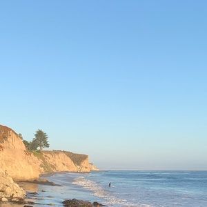 Meet your Posher, Paloma